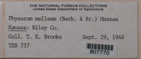 Image Associated With the Occurence